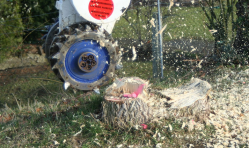 ER 250 W Mecalac 12 MXT_1